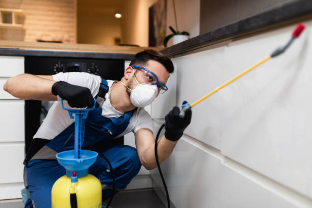 Best Pest Removal Services  in Poinciana, FL