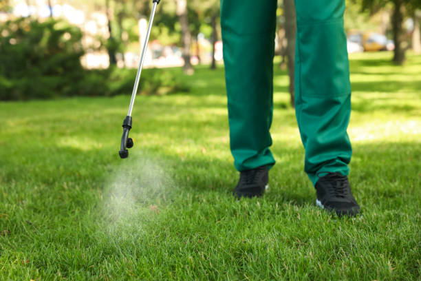 Best Affordable Pest Control Services  in Poinciana, FL